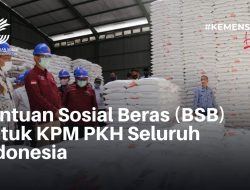 Beras Bantuan sosial (BSB) Solusi Strategis Untuk Memitigasi Dampak Krisis Ekonomi